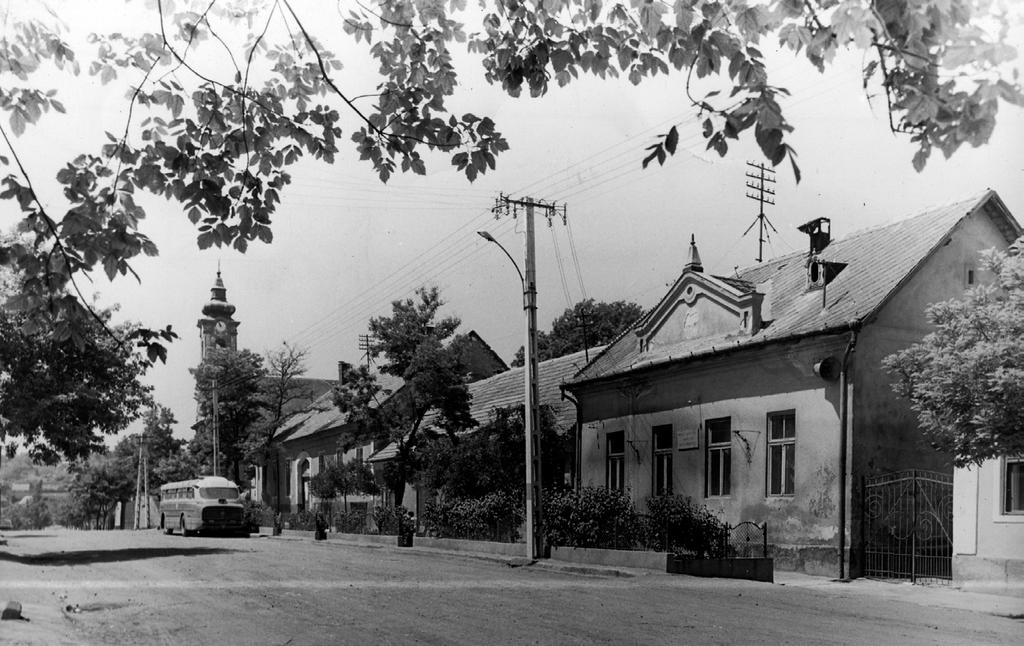 sajátja.