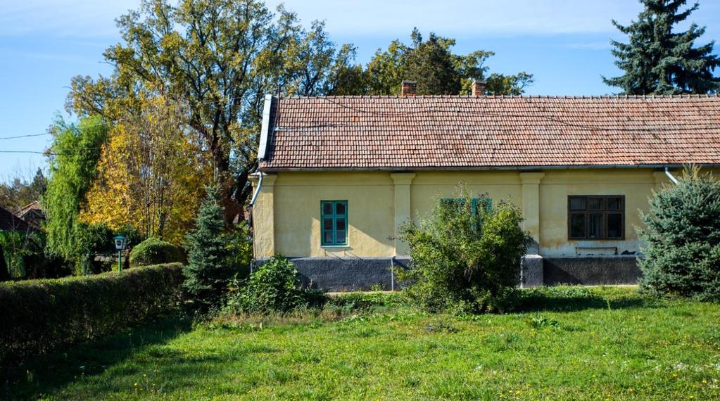 Közparkok, közterületek A közterületek egységes jellege, karaktere érdekében a gyalogos zónákban csak egységes stílusú burkolat, utcabútor, közvilágítás és növénytelepítés alkalmazható.