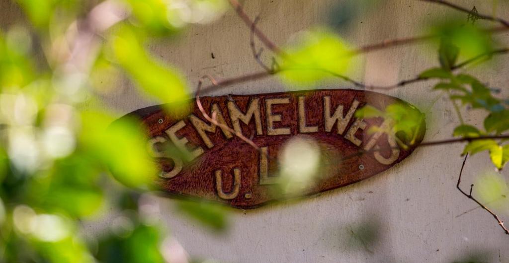 A kémények esetében a nyers téglafelületek alkalmazása javasolt, az illik legjobban a