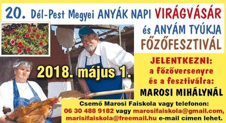 használnák elterelésnek arra, hogy lelépjenek 600 millió dollárral.