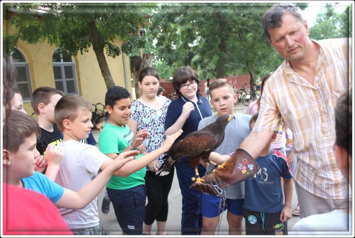 Madarak és fák napja 7 Május 10-én ünnepeltük a madarak és fák napját.