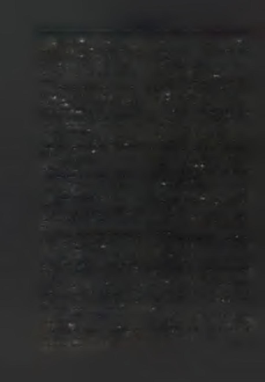 27. Nagy F. (szerző neve a Copyrightból) : Magyar zsargon (tolvajnyelv) szótár. H. n., 1980.
