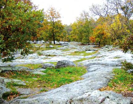 ELTE TREFORT ÁGOSTON GYAKORLÓISKOLA ÉVKÖNYV a