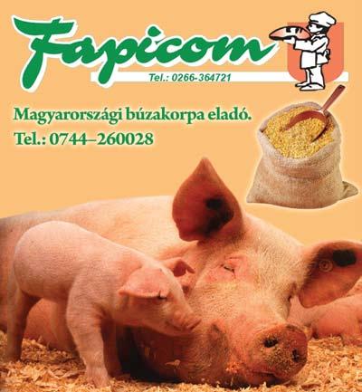 6. oldal hargitanépe Körkép 2012. június 11., hétfő udvarhely Nyitott a strand Lehet csobbanni!