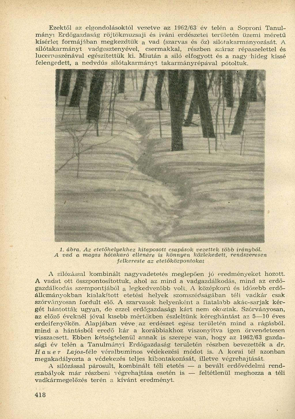 Ezektől az elgondolásoktól vezetve aiz 1962/63 év telén a Soproni Tanulmányi Erdőgazdaság röjtökmuzsaji és iváni erdészetei területén üzemi méretű kísérlet formájában megkezdtük a vad (szarvas és őz)