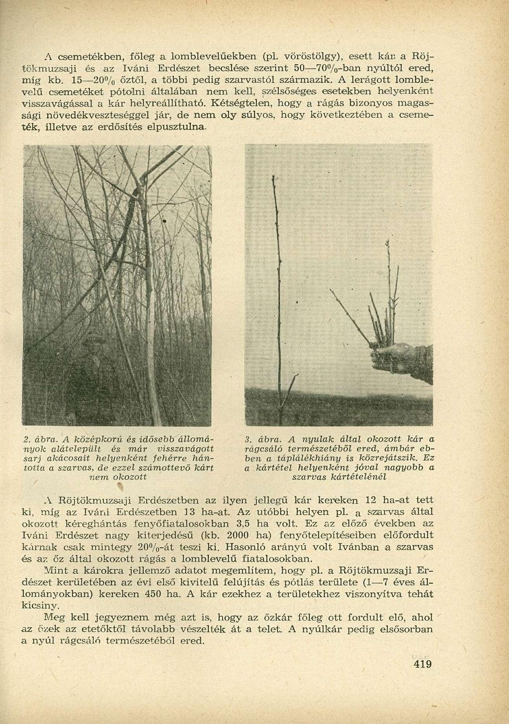 A csemetékben, főleg a lomblevelűekben (pl. vöröstölgy), esett kár. a Röjtökmuzsaji és az Iváni Erdészet becslése szerint 50 70%-ban nyúltól ered, míg kb.