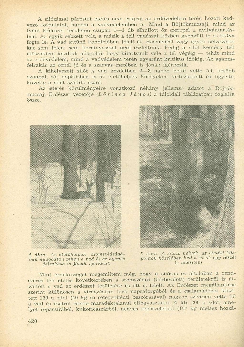 A silózással párosult etetés nem csupán az erdővédelem terén hozott kedvező fordulatot, hanem a vadvédelemben is.