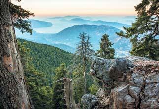 3 km-es gyalogtúra után (megfelelő cipő ajánlott) érjük el a Jón-szigetek és egyben Kefalonia legmagasabb pontját, az 1628 méteres csúcsot.