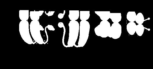 gyorgyfuvar@gmail.