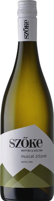Crispy, pale yellow, lively and pristinely pure. Citrusy, floral, tropical fruit aromas, and a long, subtly dry palate.