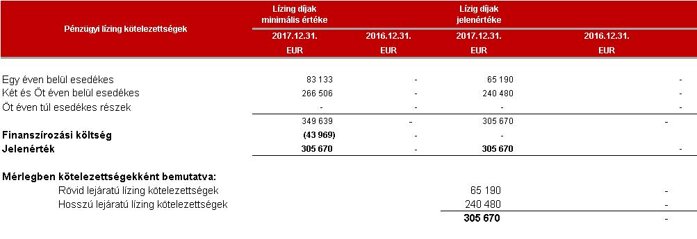 46 30 Rövid és hosszú lejáratú hitelek és lízingek Lízingek bemutatása A Csoport tagvállalata Appeninn Üzemeltető Zrt. a tevékenységéhez szükséges járműveket lízing szerződés keretében szerezte meg.