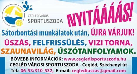 garázs horganyzott