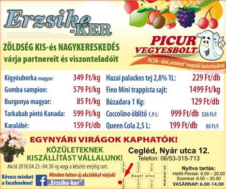 lemez 155.