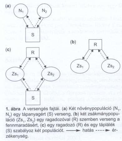 Versengés - kompetíció - fajon belüli, denzitás