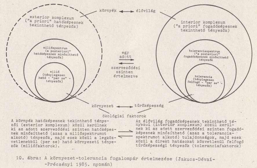 2. Komplementációs elv - külső és belső környezet együttes kapcsolata ható és hatást érzékelő exterior-interior komplexum, környék-élővilág -exterior komplexum, hatóképesnek tekinthető tényezők,
