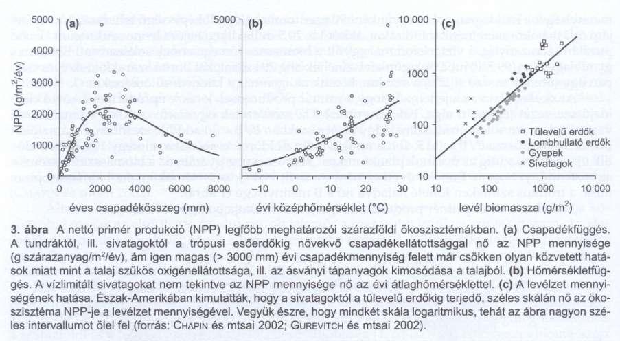 . Az NPP főbb meghatározói: csapadék, ásványi tápanyagok, hőmérséklet, levélzet mennyisége - A bolygó felszínének 80%-án (nyílt óceánok, sivatagok) kevés biomassza - Trópusi esőerdők az NPP és B