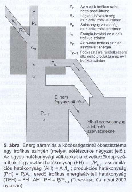 Ökológiai rendszerek magasabb Trofikus szintjeinek Energiaátviteli Hatékonysága (TEH):.