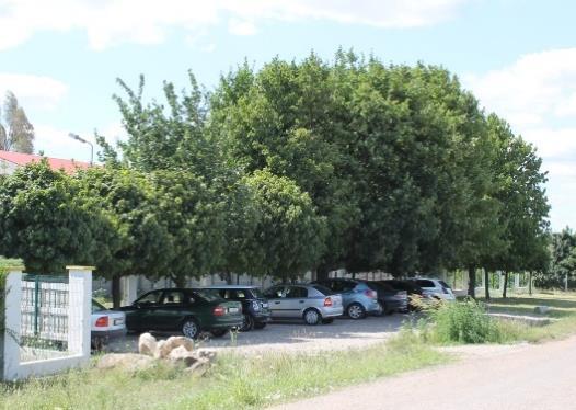 alumínium-ötvözet lemez helyett egyedi tervezésű, igényes kivitelezésű közlekedési táblák elhelyezése indokolt. Az ipari hatást keltő anyagok (pl. szürke betonszegély) helyett természetes anyagok (pl.