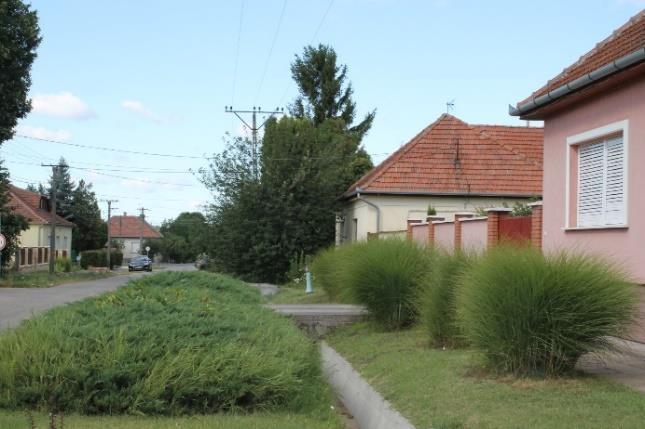 számú főútvonal közötti sávban megfigyelhető rozsdabarna erdőtalaj arra utal, hogy a domboldalt valamikor