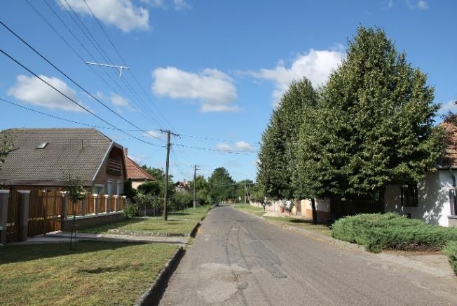 A tölgyerdőnek azonban már a török hódoltság idején nyoma veszett, helyét a völgyből a dombhát irányába