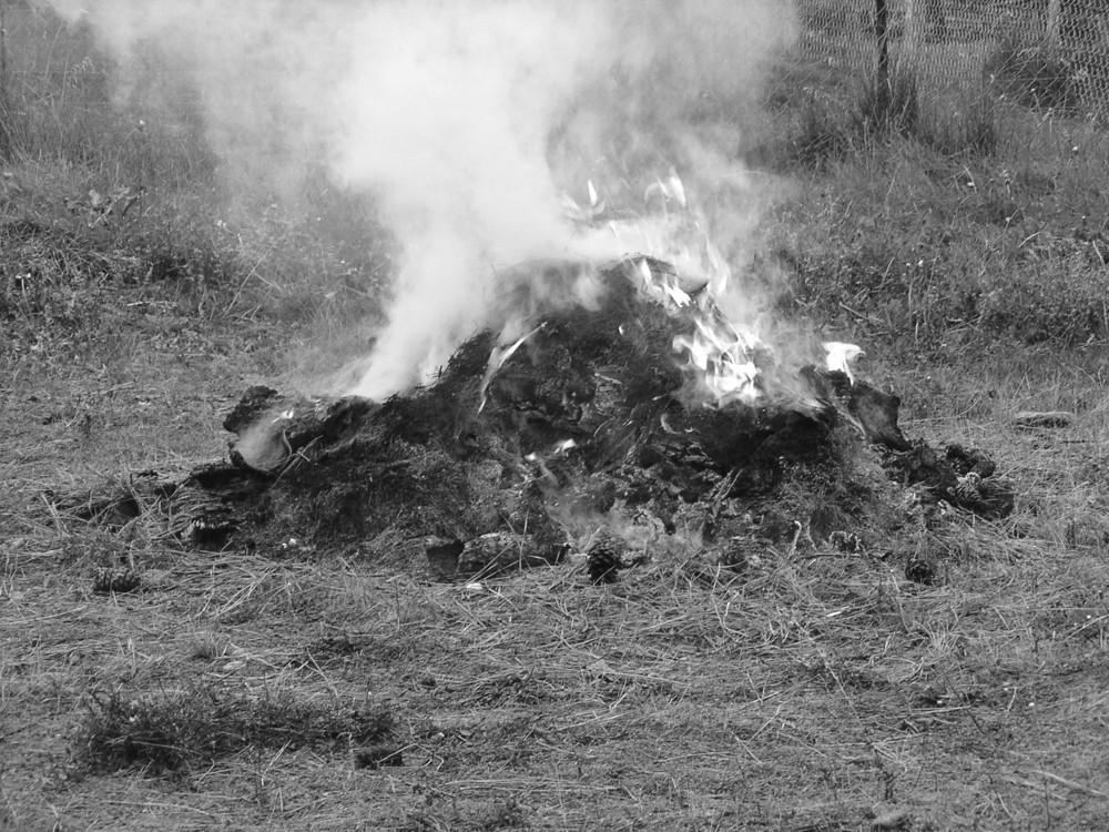Oldal 3 Önkormányzati hírek Tájékoztató az avar és kerti hulladék égetéssel történő megsemmisítésének szabályairól Báta Községi Önkormányzat Képviselő-testülete az avar és a kerti hulladék
