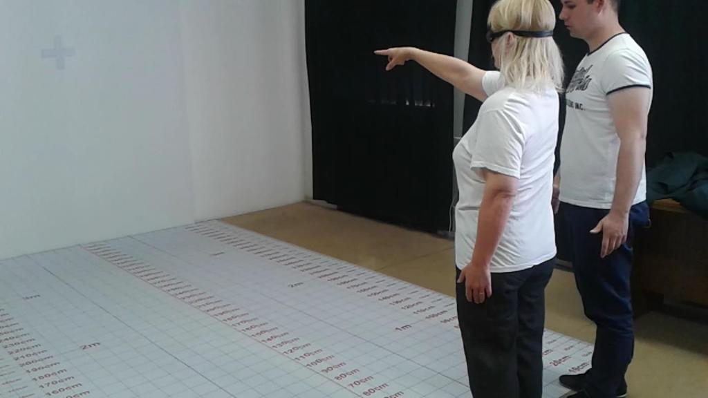 mutatóujjukkal mutassanak a célkereszt irányába. Ezt követően, karukat és ujjukat a levegőben tartva kellett megközelíteniük a célt és megérinteni azt.