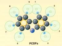 Perzisztens Környezeti Kemikáliák poliklórozott bifenilek (PCB), poliklórozott dibenzo-dioxinpcdd és dibenzo-furán(pcdf)-származékok The Dirty Dozen ( piszkos 12 ) dioxinok Dioxinok feldúsulás a