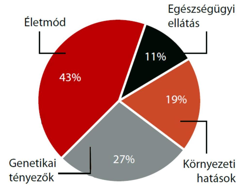 Az egészségi állapotot meghatározó tényezők Forrás: