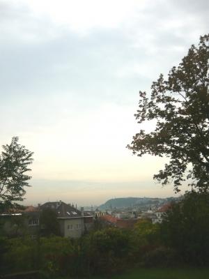 V467A Rózsadomb II. kerület, Fejlesztési terület 547.54 M Ft 2196 m² Rózsadombon, forgalmas utcában kínálunk megvételre egy 2160 nm-es építési telket.