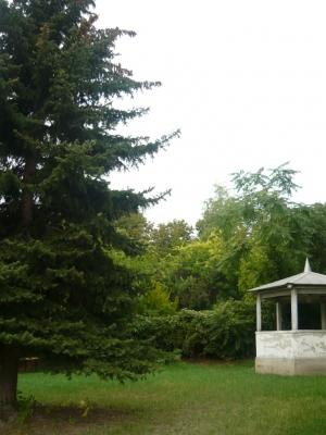 A villa nem védett műemlék, ezért lebontható és a telek egyben vagy két részre osztva beépíthető. A telek alkalmas társasház, képviselet, követség, panzió, luxus villa építésére.