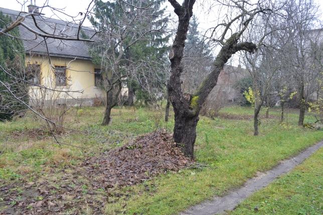 eladó Sashegy 2657 m² R821Z Sashegy XI. kerület 156 M Ft 2657 m² A XI.