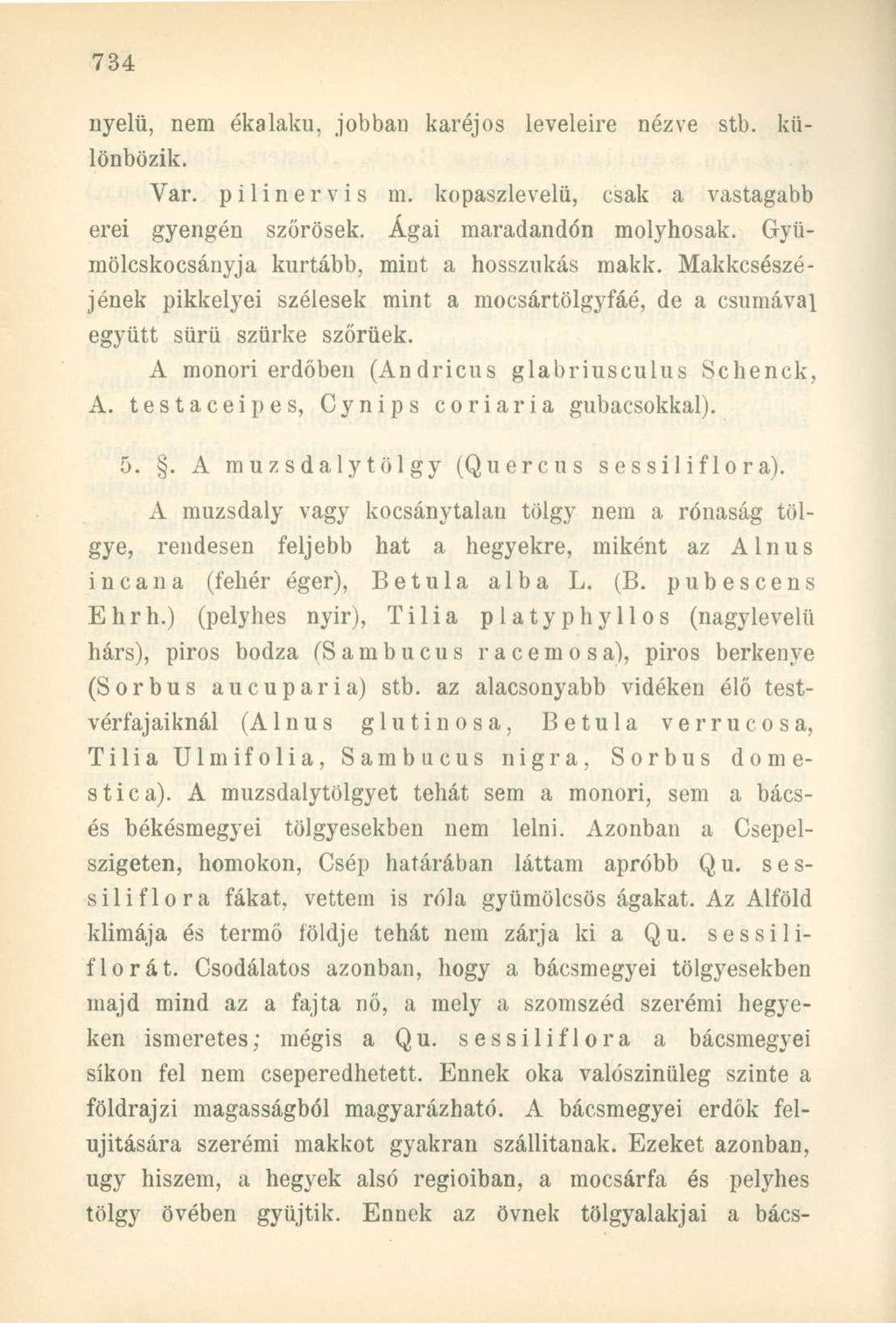 nyelű, nem ékalaku, jobban karéjos leveleire nézve stb. különbözik. Var. pilinervis m. kopaszlevelü, csak a vastagabb erei gyengén szőrösek. Ágai maradandón molyhosak.