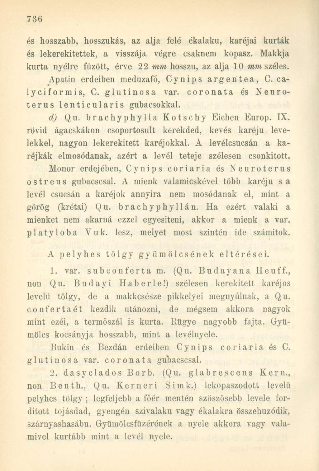 és hosszabb, hosszúkás, az alja felé ékalaku, karéjai kurták és lekerekítettek, a visszája végre csaknem kopasz. Makkja kurta nyélre fűzött, érve 22 mm hosszú, az alja 10 mm széles.