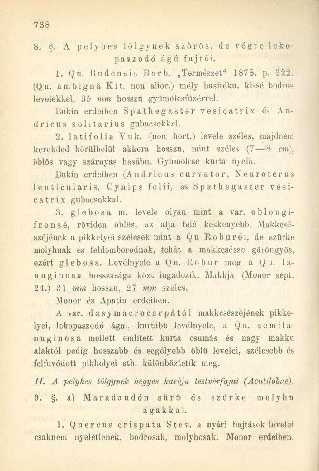 8.. A pelyhes tölgynek szőrös, de végre lekopaszodó ágú fajtái. 1. Qu. Budensis Borb. Természet" 1878. p. 322. (Q u. ambigna Kit. non alior.