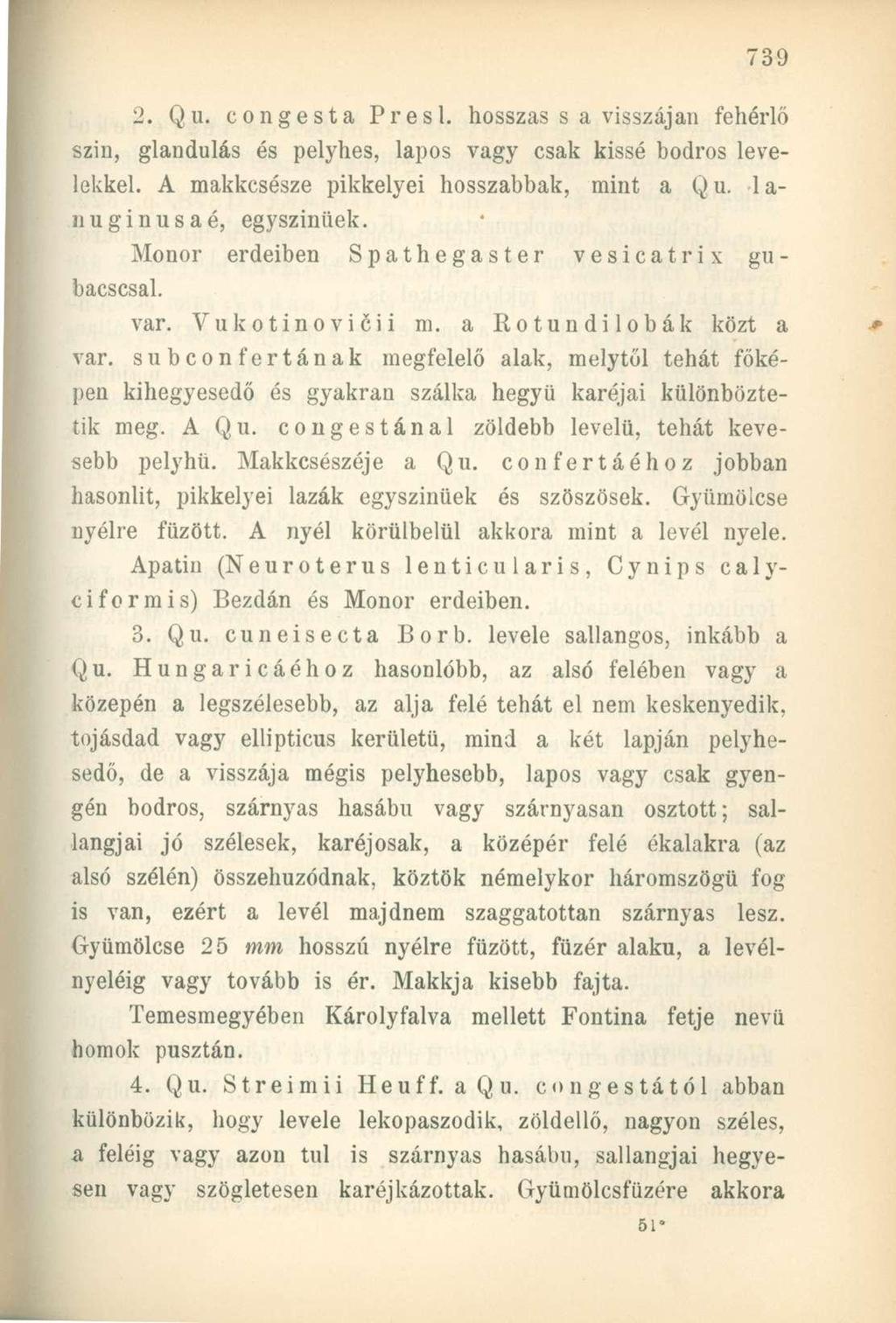 2. Qu. congesta Presl. hosszas s a visszáján fehérlő szin, glandulás és pelyhes, lapos vagy csak kissé bodros levelekkel. A makkcsésze pikkelyei hosszabbak, mint a Q u. 1 a- nuginusaé, egyszinüek.