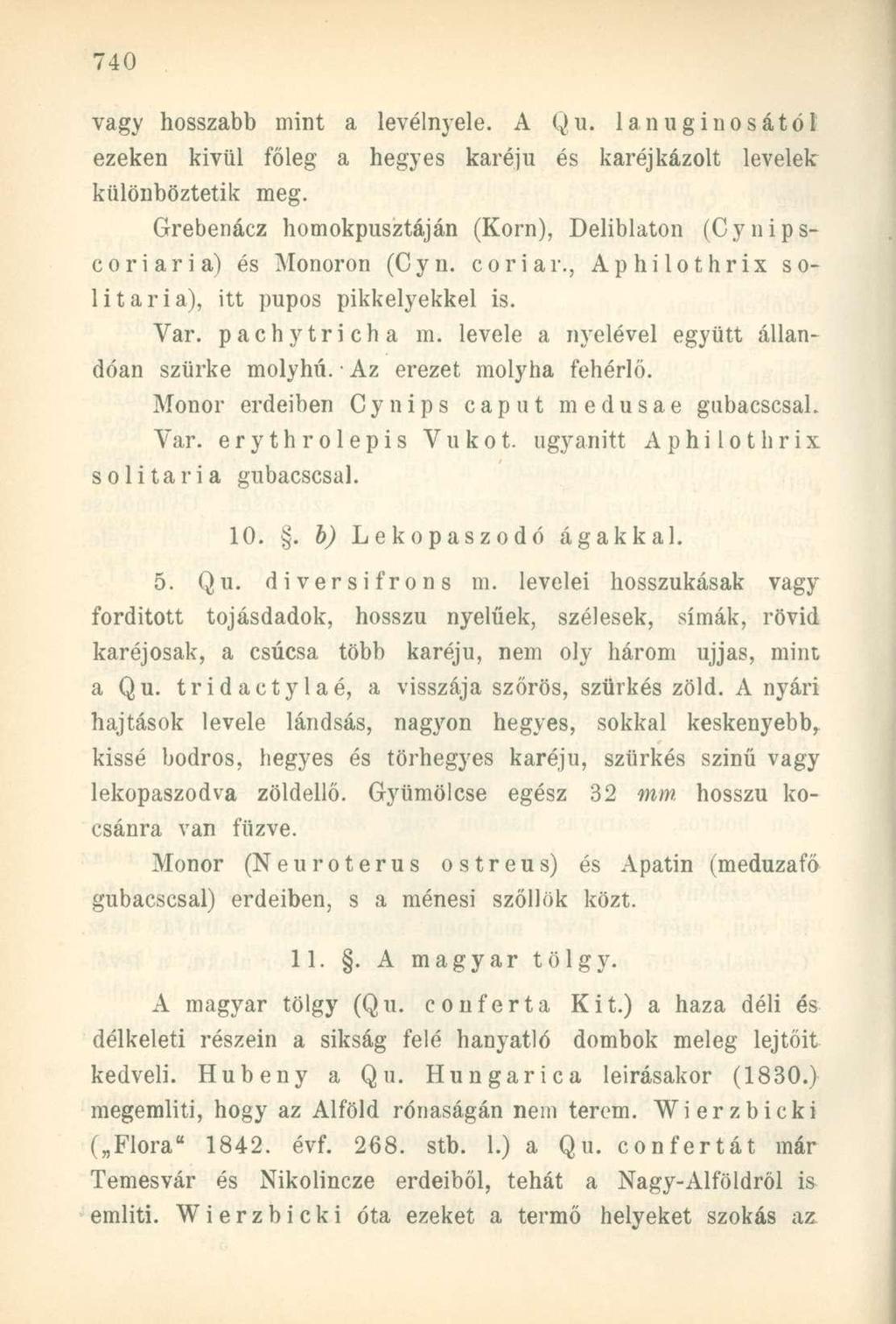 vagy hosszabb mint a levélnyele. A Qu. lanuginosától ezeken kivül főleg a hegyes karéjú és karéjkázolt levelek különböztetik meg.