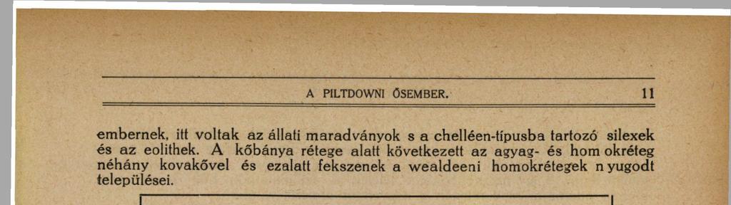 Vannak olyanok, melyek a piltdowni ember rétegével ugyanazon stratigrafiai helyzetben voltak s nem viselik magukon a hányatás jeleit ; ezek kétségkívül a negyedkor elején élő faunából maradtak meg a