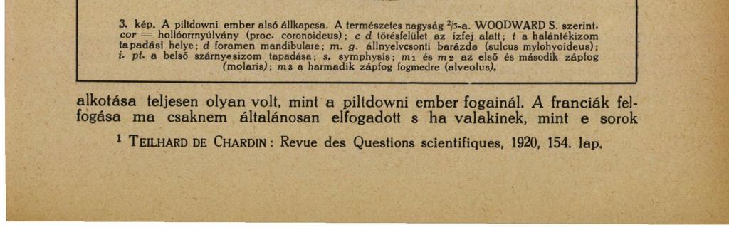 A PILTDOWNI ŐSEMBER. 15 mondják.