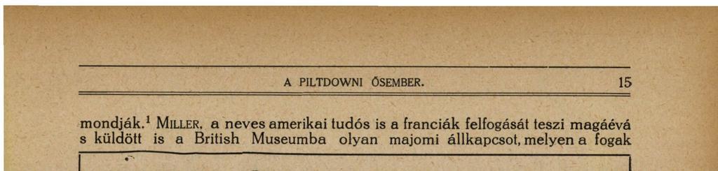 d foramen mandibulare; m. g. állnyelvcsonti barázda (sulcus mylohyoideus) ; i. pf.