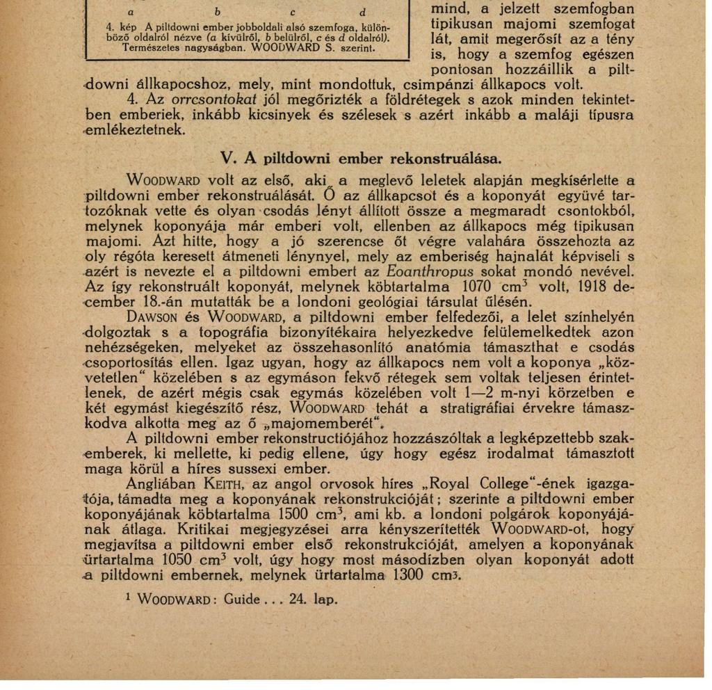 16 ZBOROVSZKY FERENC, S. J. írójának is, alkalma lesz megtekinteni az eredeti fogakat, akkor ennek a magyarázatnak fog igazat adni. 3.