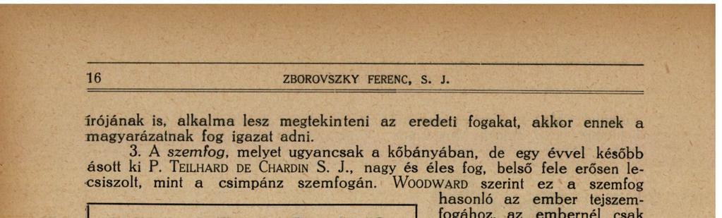 Az orrcsontokat jól megőrizték a földrétegek s azok minden tekintetben emberiek, inkább kicsinyek és szélesek s azért inkább a maláji típusra emlékeztetnek. V. A piltdowni ember rekonstruálása.
