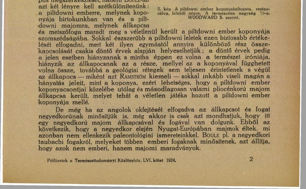 A PILTDOWNI ŐSEMBER. 17 BOULE M. az L'Anthropologie" című francia folyóiratban 1915-ben foglalt először állást a piltdowni embernek az angoloktól megkísérlett rekonstruálása ellen.