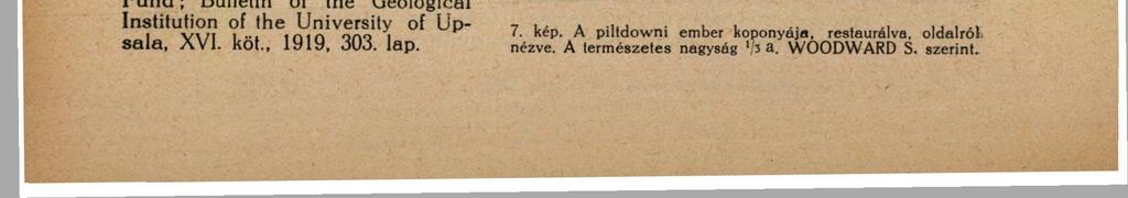 ZBOROVSZKY FERENC, S. J. 18 VI. A piltdowni ember megjelenésének pontosabb kora. 1. A piltdowni ember helye az emberiség törzsfájában.
