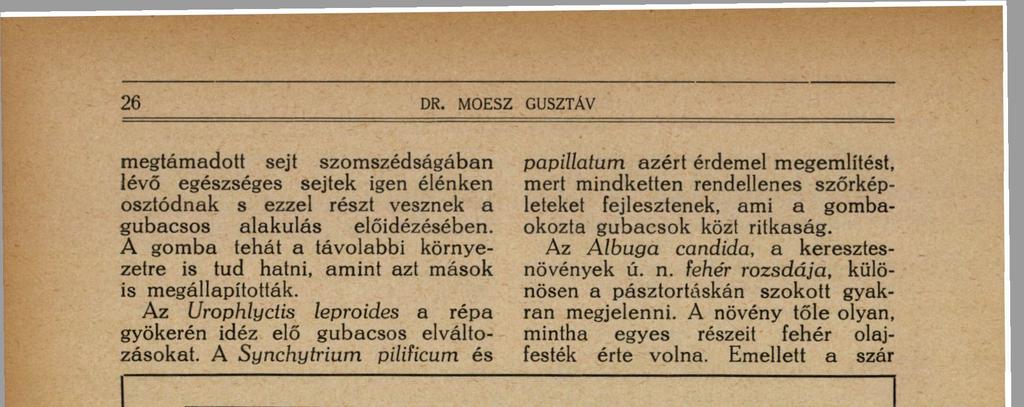 fejlesztenek, ami a gombaokozta gubacsok közt ritkaság. Az Albuga Candida, a keresztesnövények ú. n.