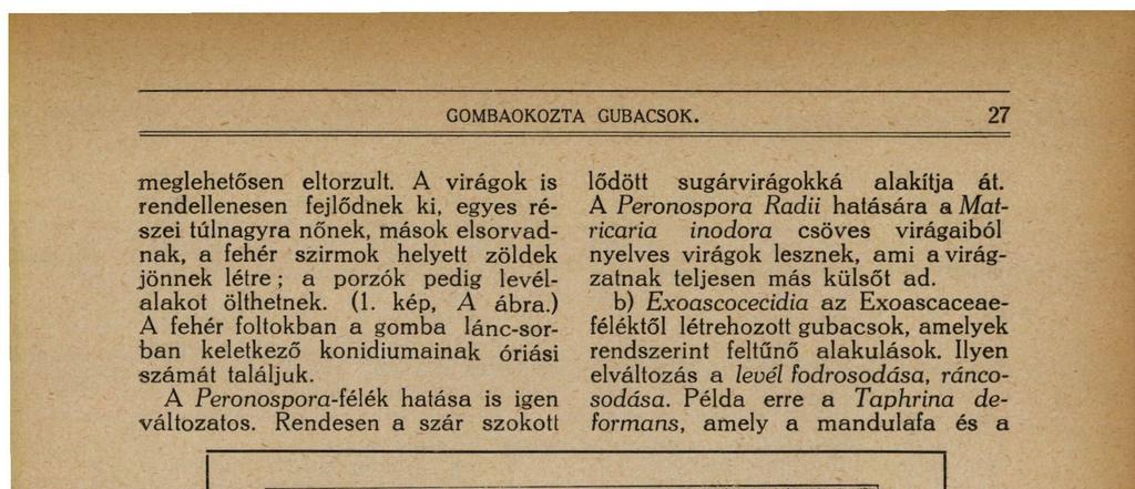 A Peronospora Radii hatására a Matricaria inodora csöves virágaiból nyelves virágok lesznek, ami a virágzatnak teljesen más külsőt ad.