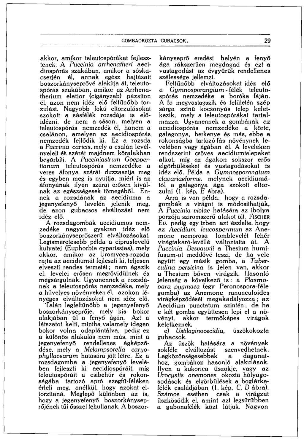 GOMBAOKOZTA GUBACSOK. 29 akkor, amikor teleutospórákat fejlesztenek.