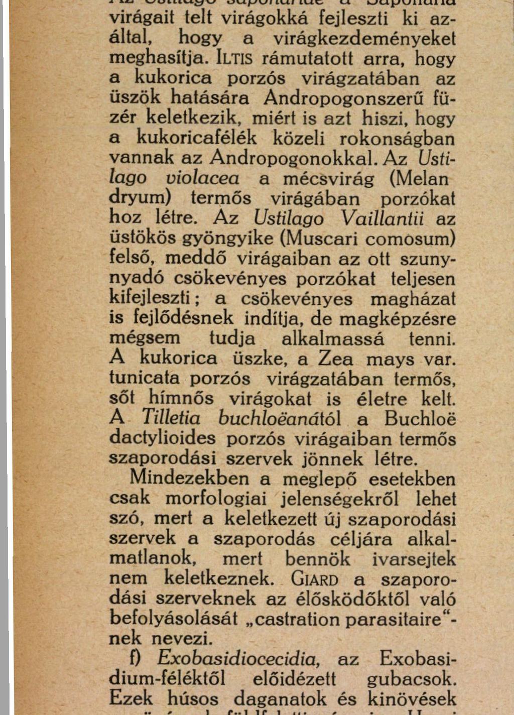 Az Ustilago Vaillantii az üstökös gyöngyike (Muscari comosum) felső, m e d d ő virágaiban a z ott szunynyadó csökevényes porzókat teljesen kifejleszti ; a csökevényes magházat is fejlődésnek indítja,