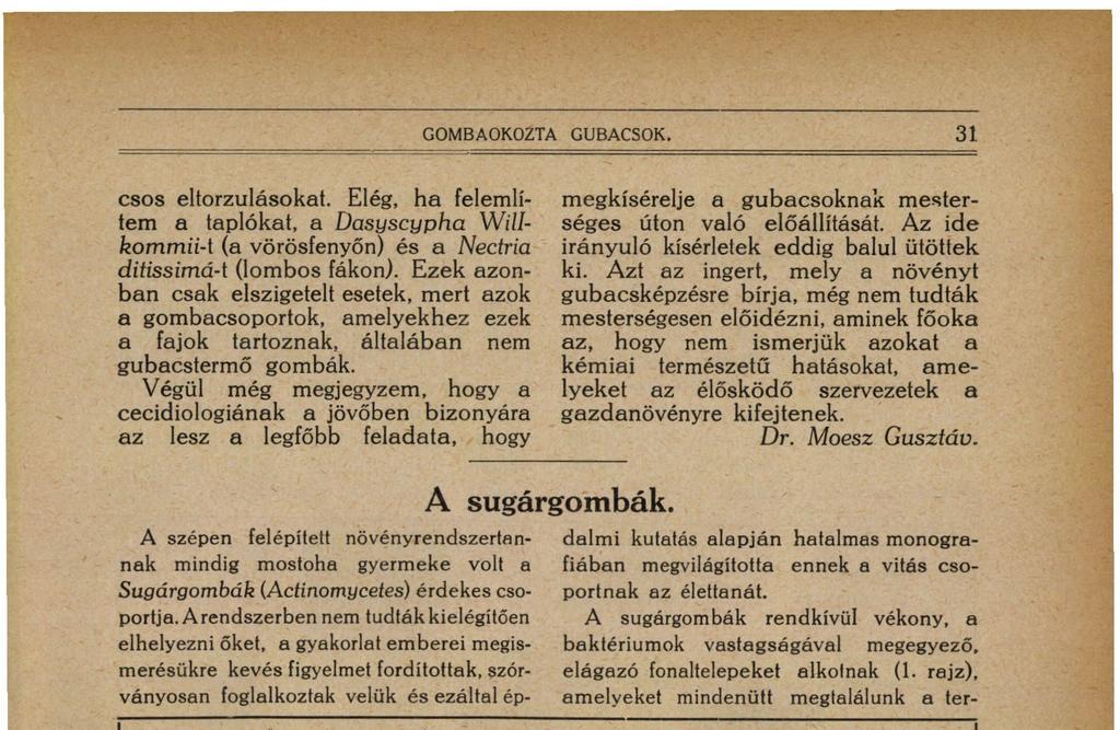 rajz), amelyeket mindenütt megtalálunk a ter- 1 7.