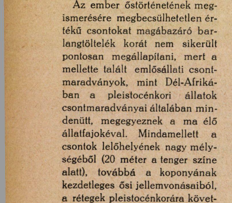 Múzeum büszkeségei. 1. kép. A 
