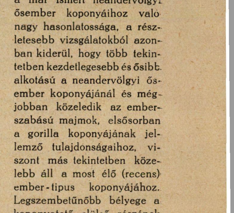 szerint az ősember és az oroszlán közti nagy küzdelemre vall, melynek során az oroszlén a jól célzott kődobás, az ősember pedig az